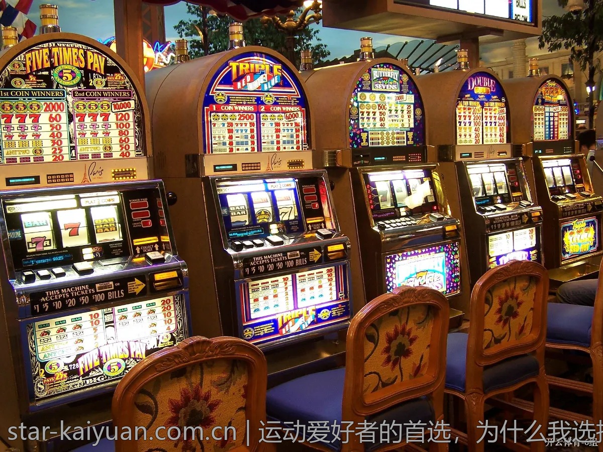 运动爱好者的首选，为什么我选择开云体育