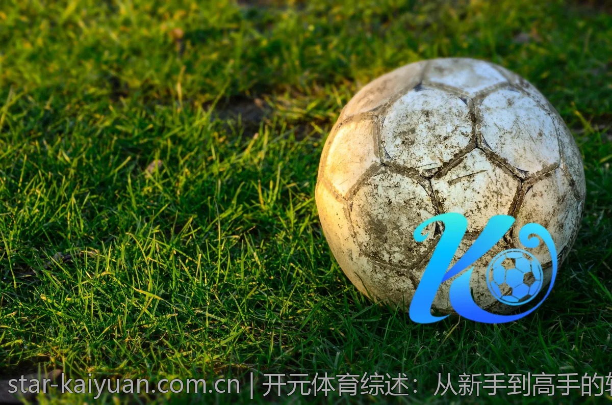 开元体育综述：从新手到高手的转换之道