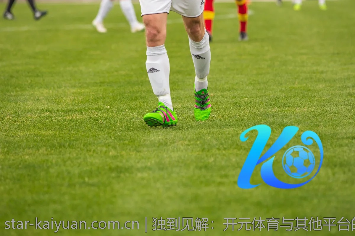 独到见解：开元体育与其他平台的精彩对比